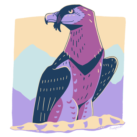 Bearded Vulture